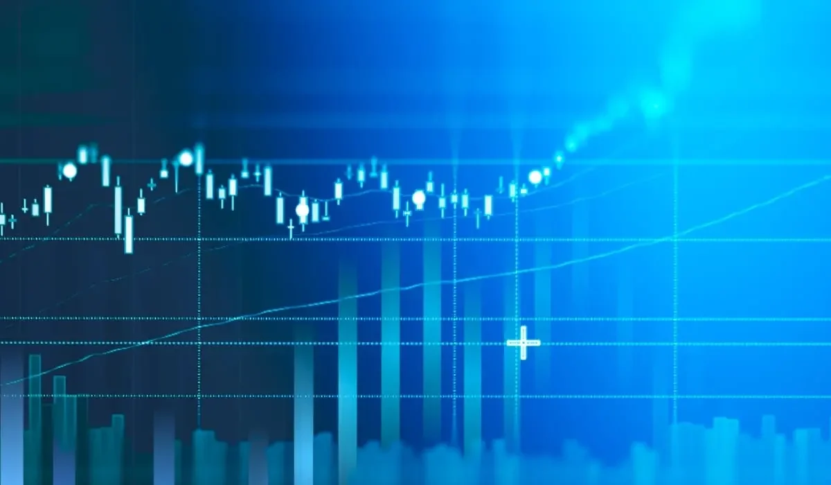 FEMAX B2B platforma - Digitalna prodajna podrška za profesionalce